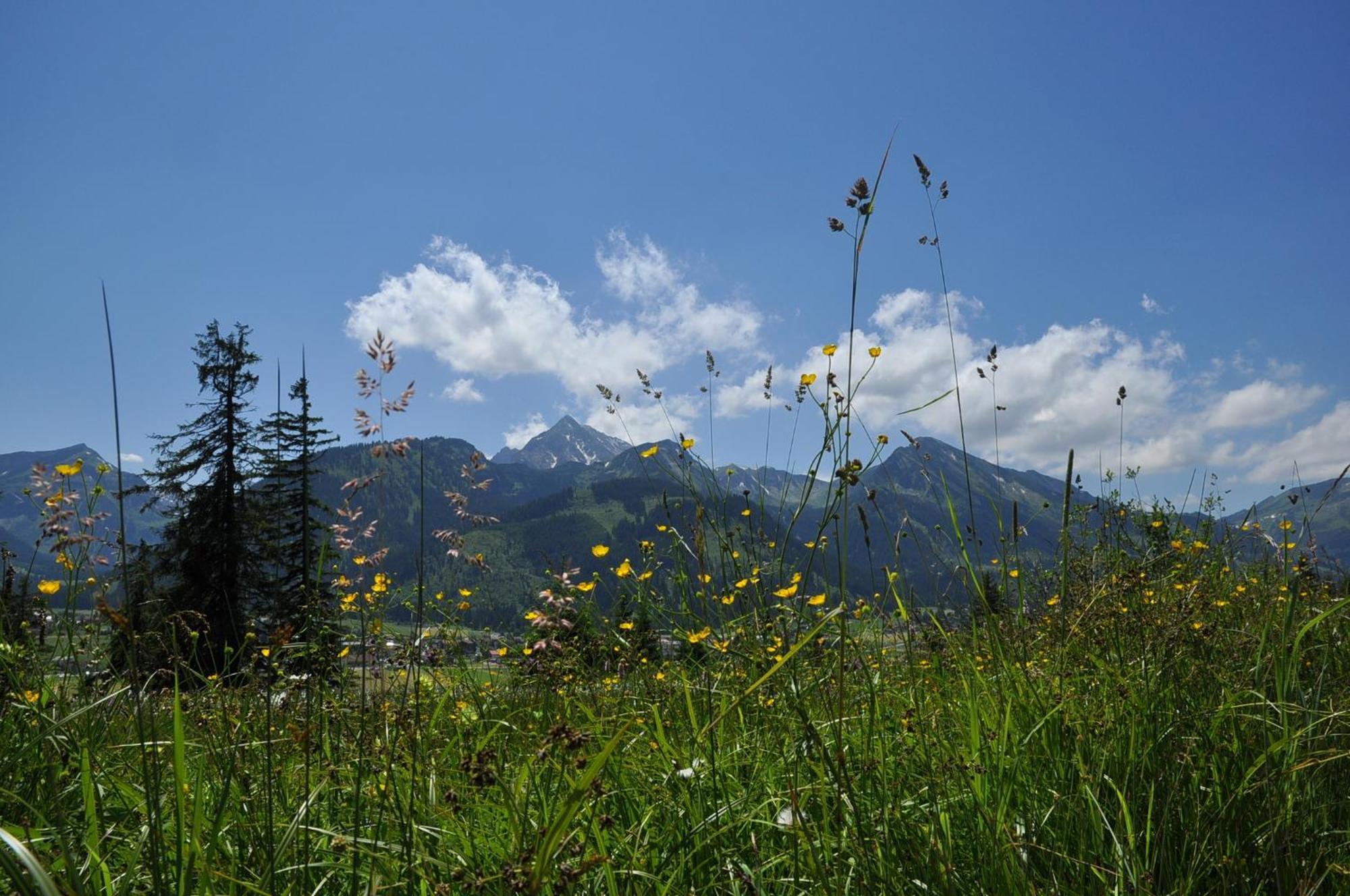 Landhaus Alpensonne Schattwald Bagian luar foto